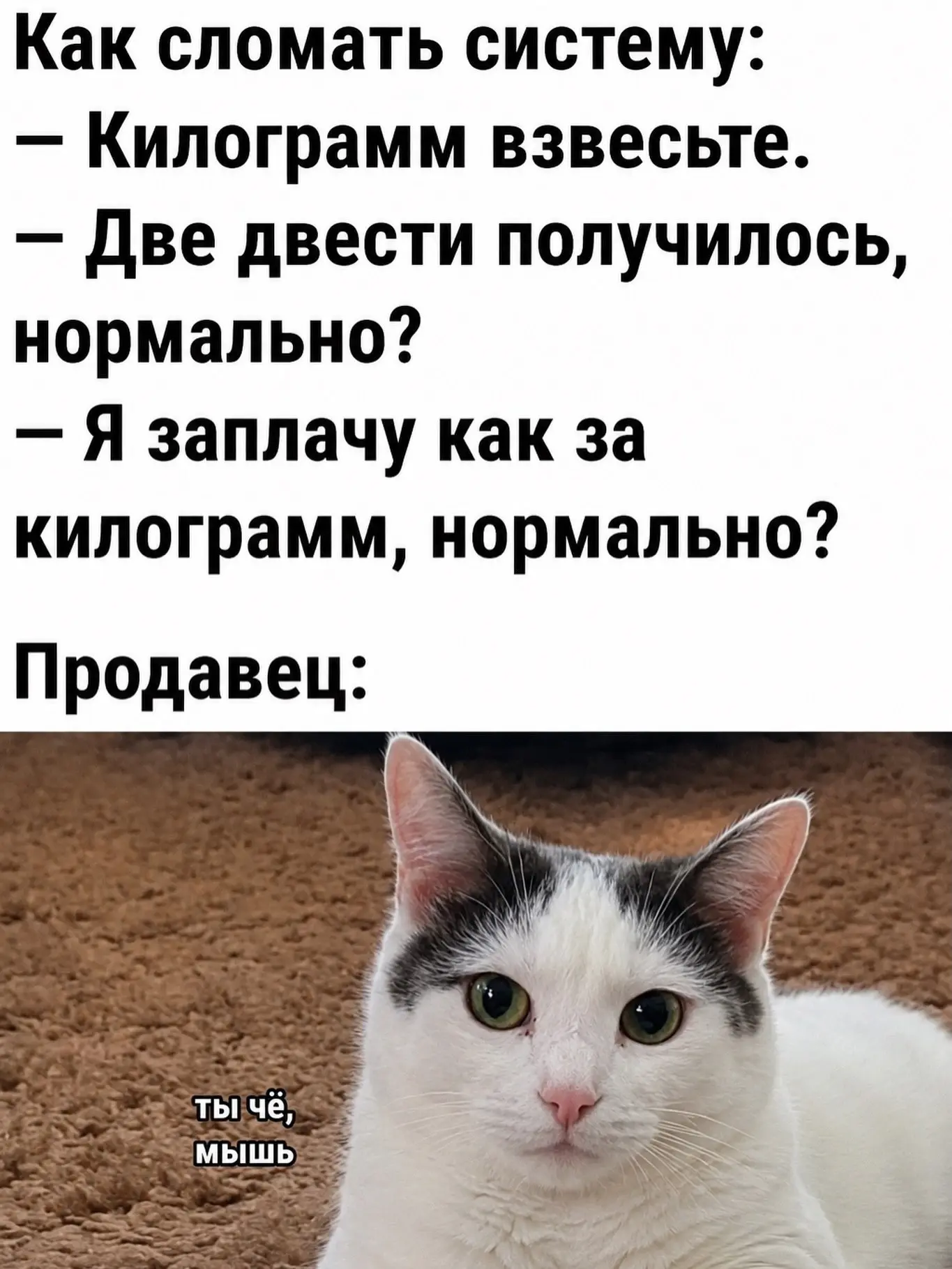 Инструкция как ходить на рынок 

@harnomy