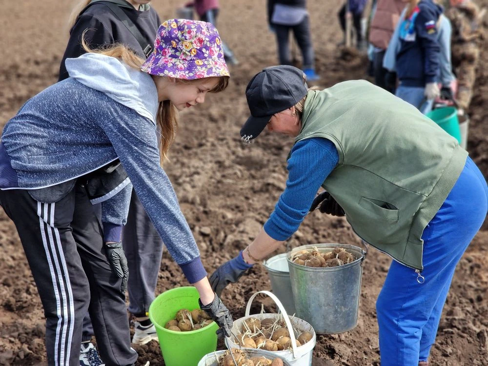 🥔🚀🌱Операция «Картошка»: миссия выполнена!