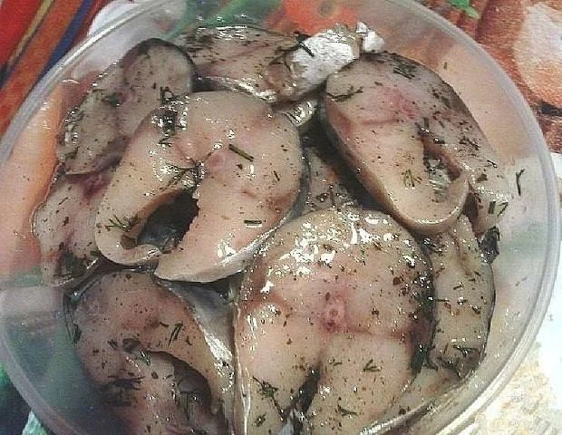 САГУДАЙ ИЗ СКУМБРИИ