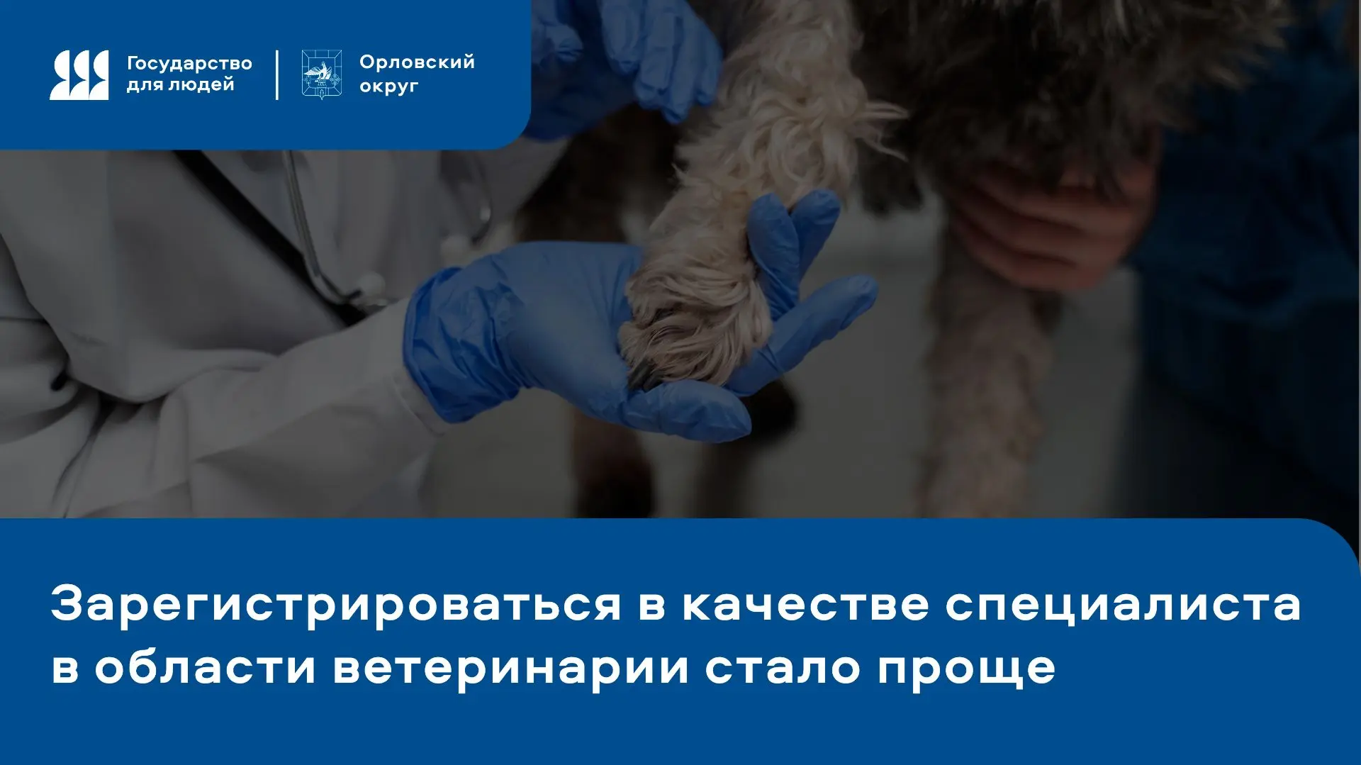 📝 Отличная новость для ветеринарных специалистов Орловского округа! В рамках федеральн...