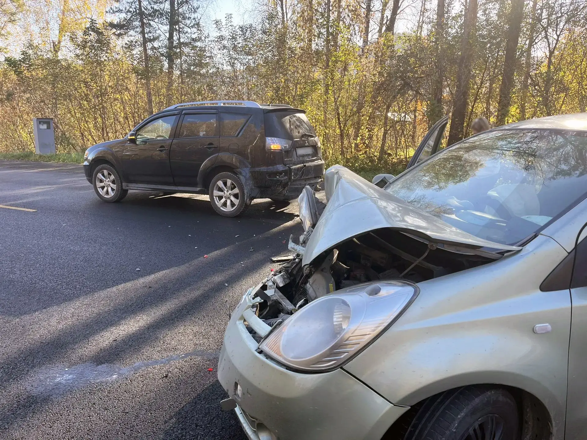 В результате двух ДТП, произошедших в Горно-Алтайске и Майминском районе, пострадали дв...