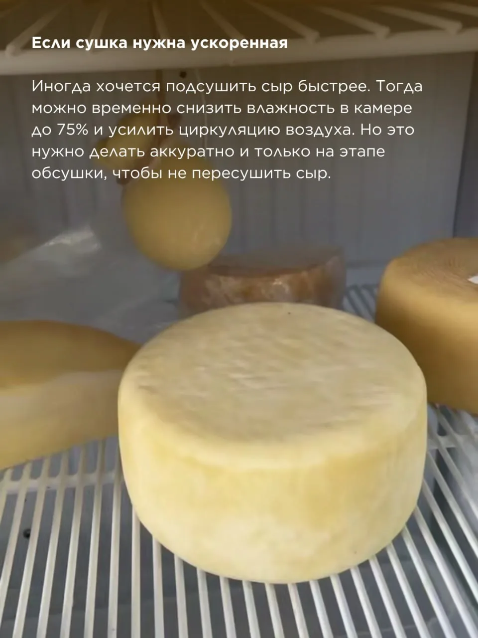 Изображение 3 к публикации «Школа Сыроделия Алексея Сыровера»
