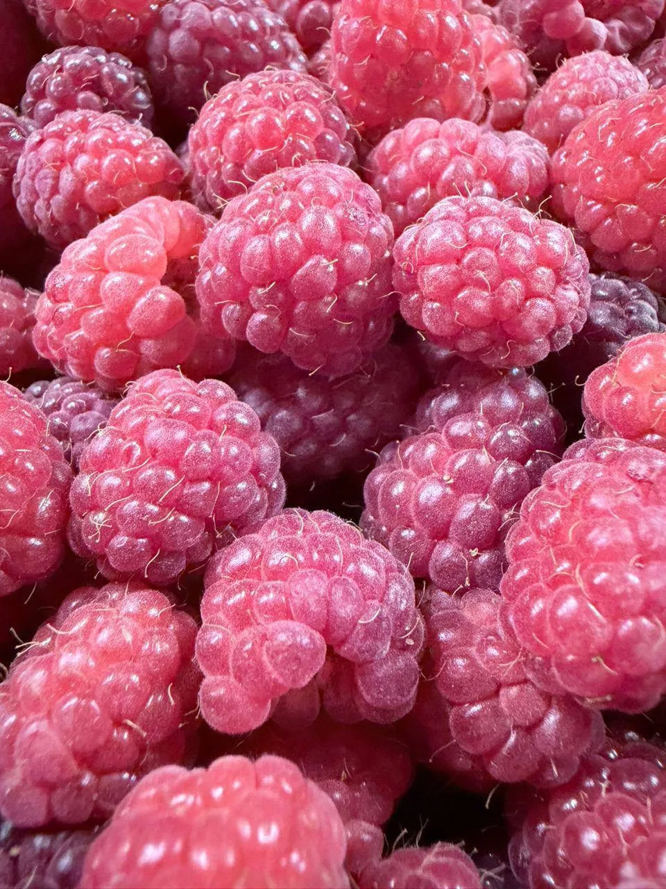 ЯГОДКА В НАЛИЧИИ во всех филиалах

СВОБОДНАЯ ЯГОДКА 

•Авиаторов 30 
🍓Малина  - 7 ящ
🍉Арбуз - 9 шт