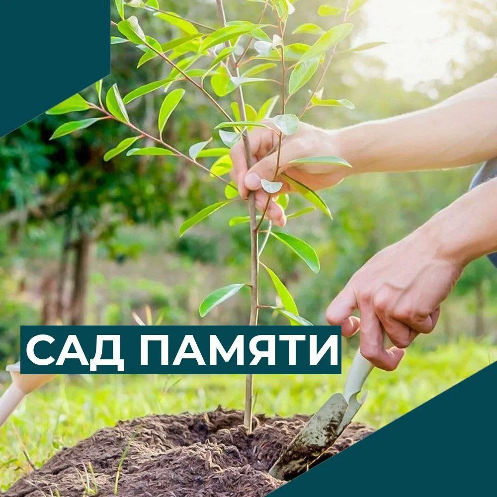 🌱САД ПАМЯТИ