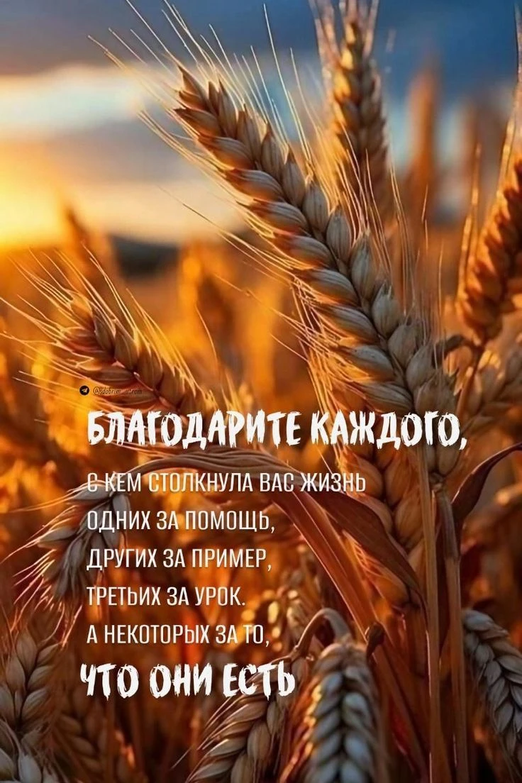 🥰Открытки и поздравления!