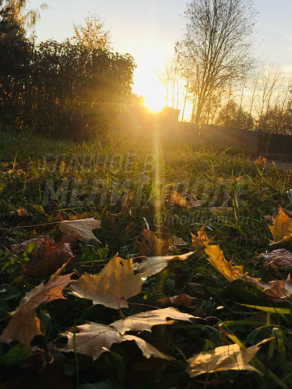 🍂 Осенний кадр из Запорожской области