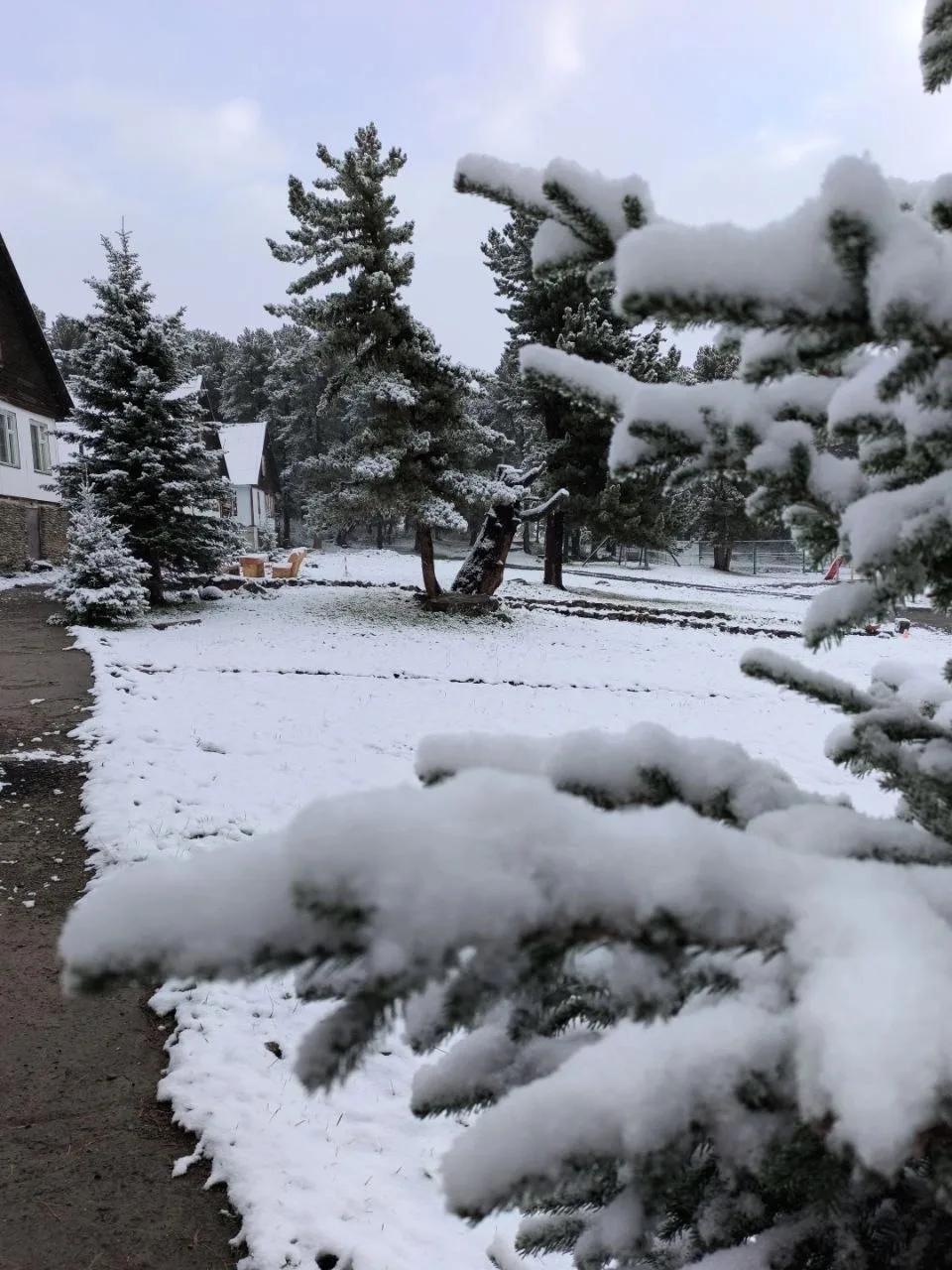 1 сентября 🌨️