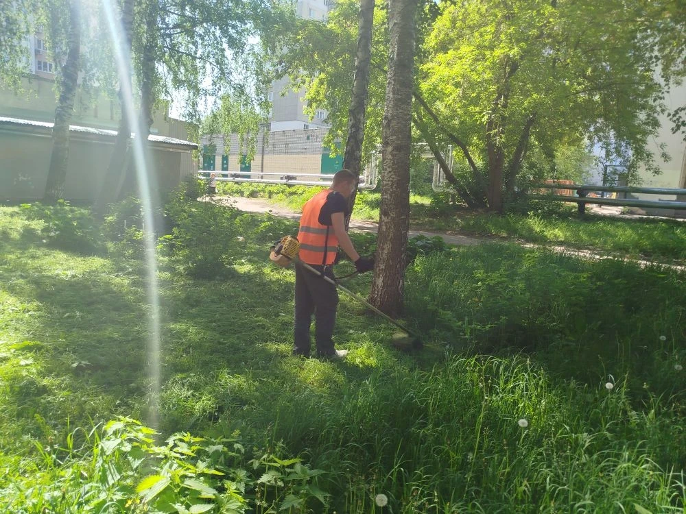 🌿 В летний сезон особое внимание уделяем благоустройству придомовых территорий: регулярно косим трав