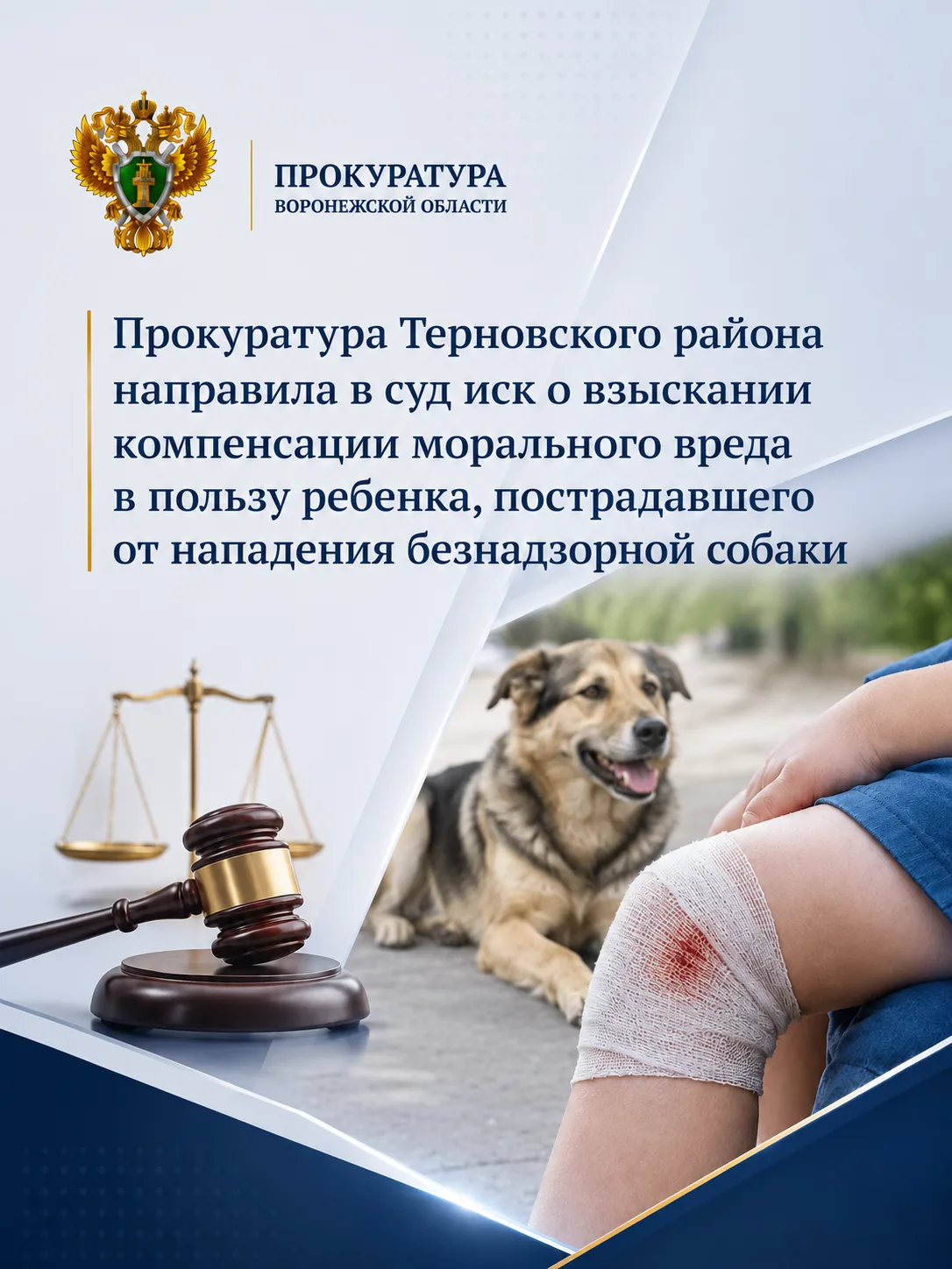 Прокуратура Терновского района направила в суд иск о взыскании компенсации морального в...