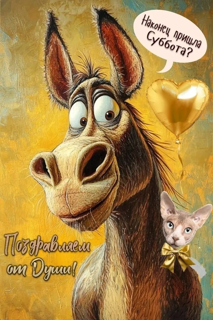 ОТКРЫТКИ