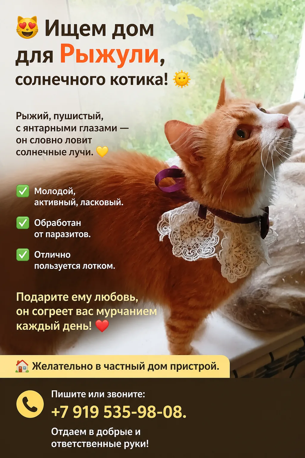 89195359808