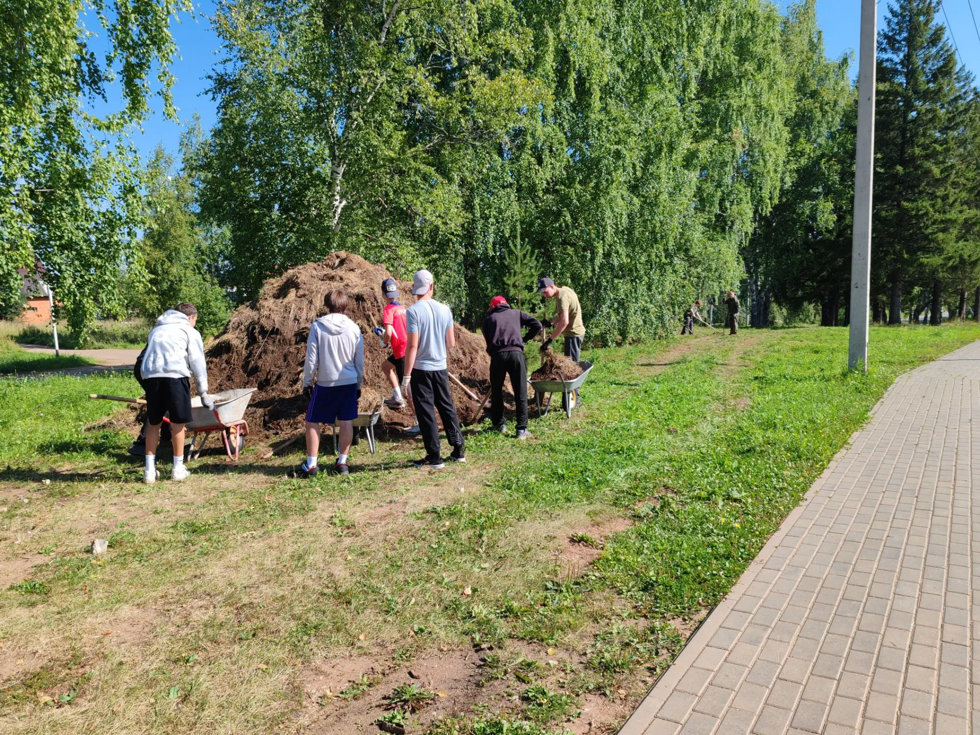 Трудовые каникулы: делаем наш лицей лучше!