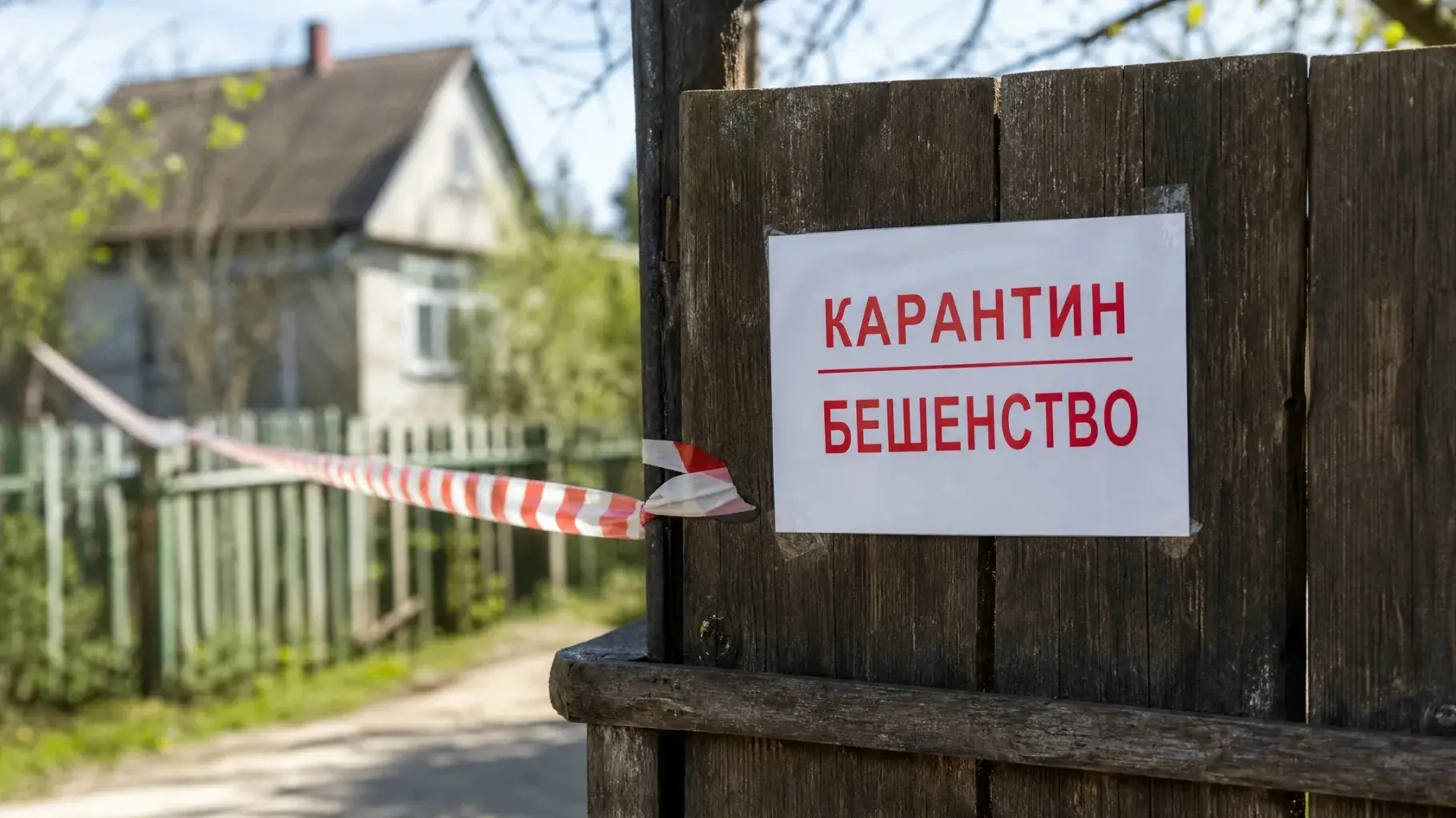 ❗ Карантин по бешенству в соседней области