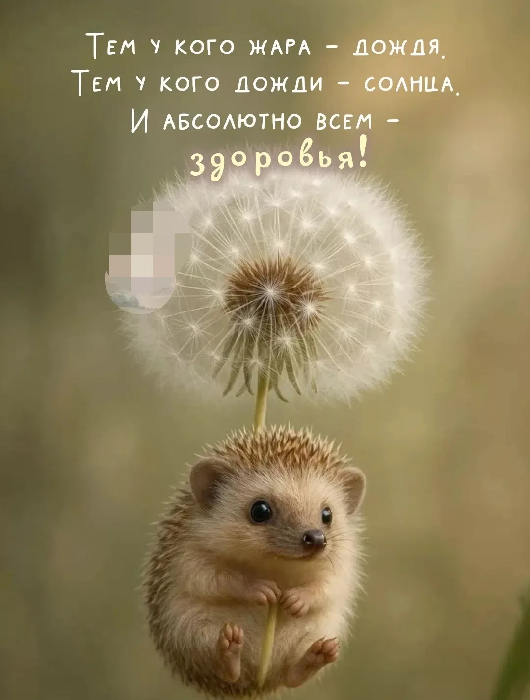 Доброе летнее утро🤍