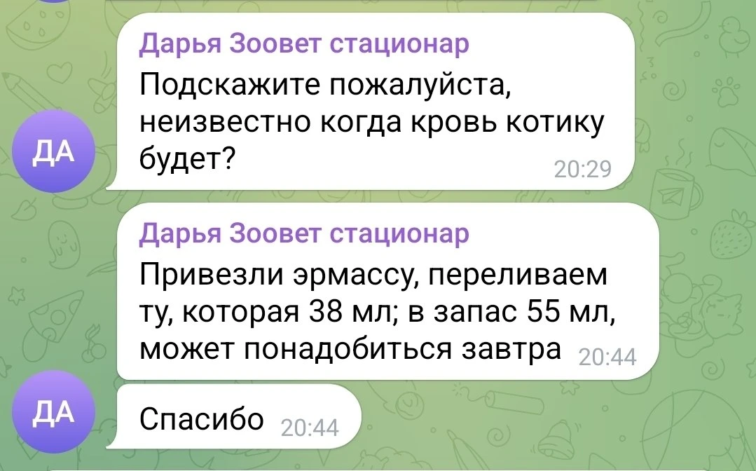 Всё, что собрали сегодня, ушло на кровь...  Помочь по СБП Помочь по СМС  Подписаться на канал