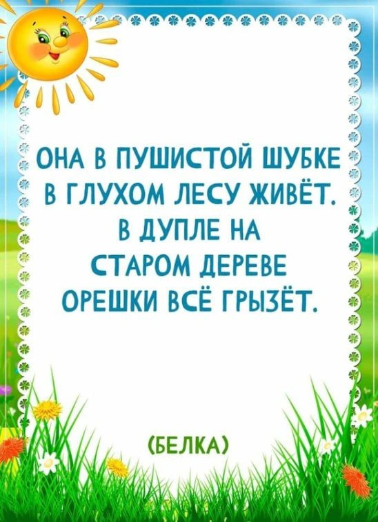 Мы подготовили восемь карточек с загадками   В них мы спрятали животных и птиц, которых можно встрет