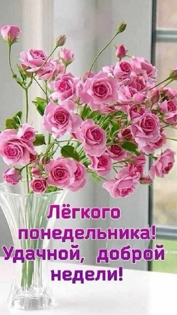 Дорогие жители!  Желаем вам прекрасной и продуктивной недели! Пусть каждый день приносит радость, но
