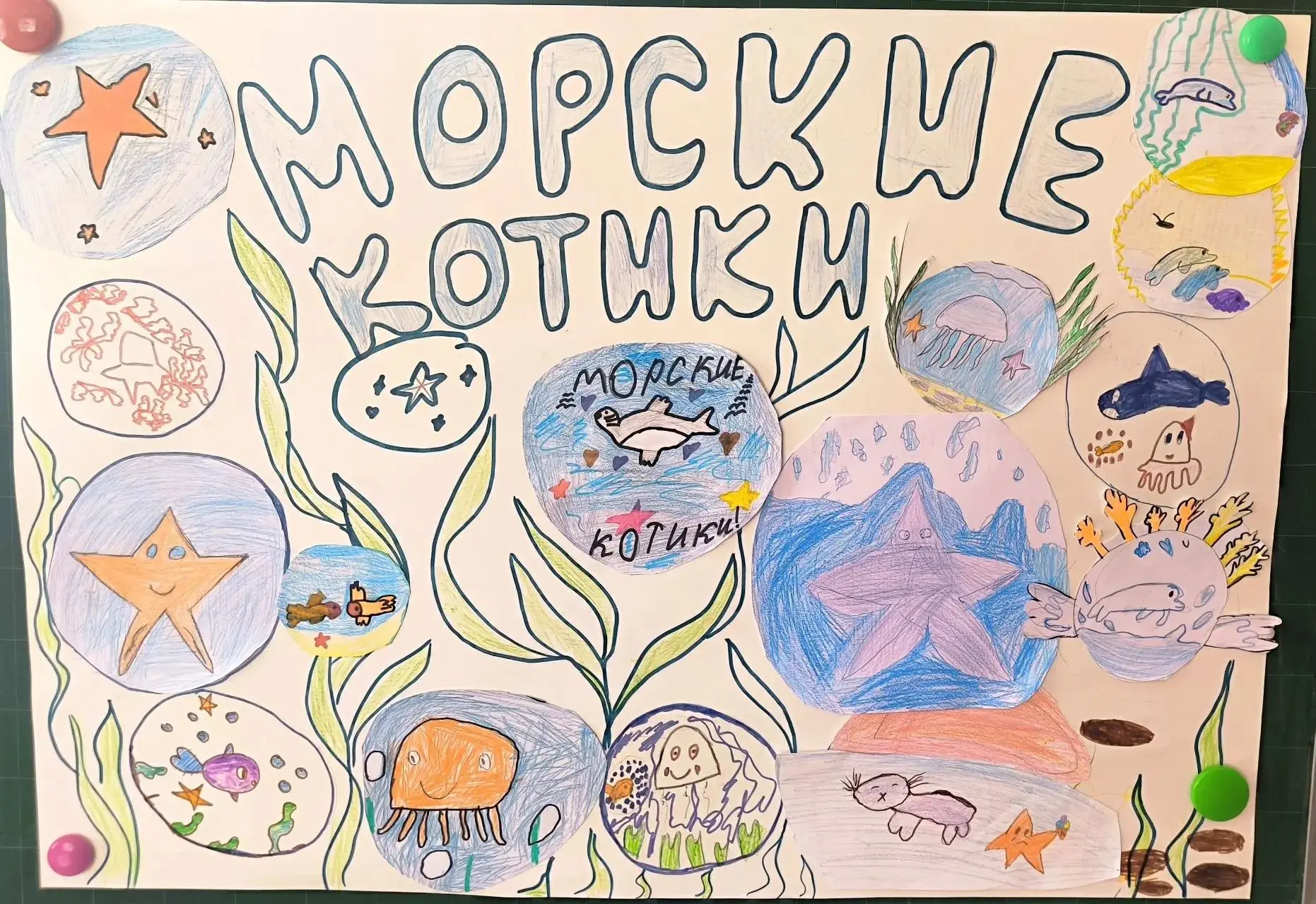 И, наконец, спешим Вас познакомить с самым младшим отрядом. Встречайте — «Морские котики»!🦭

Несмот