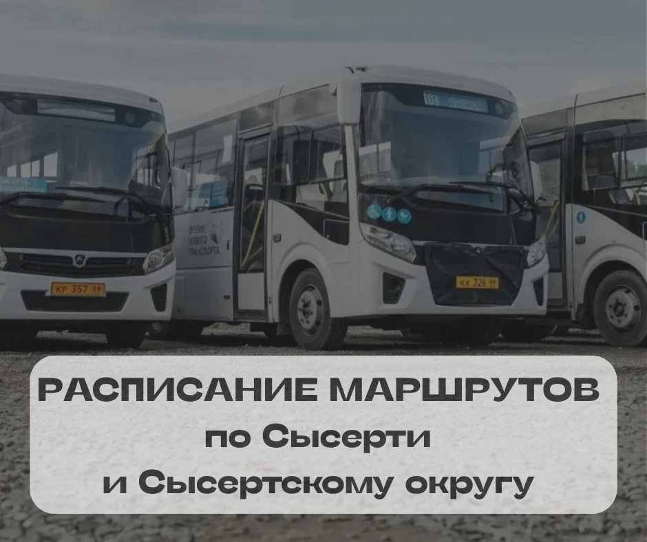 Актуальное расписание вы всегда можете посмотреть на сайте Моя Сысерть, в разделе Транс...