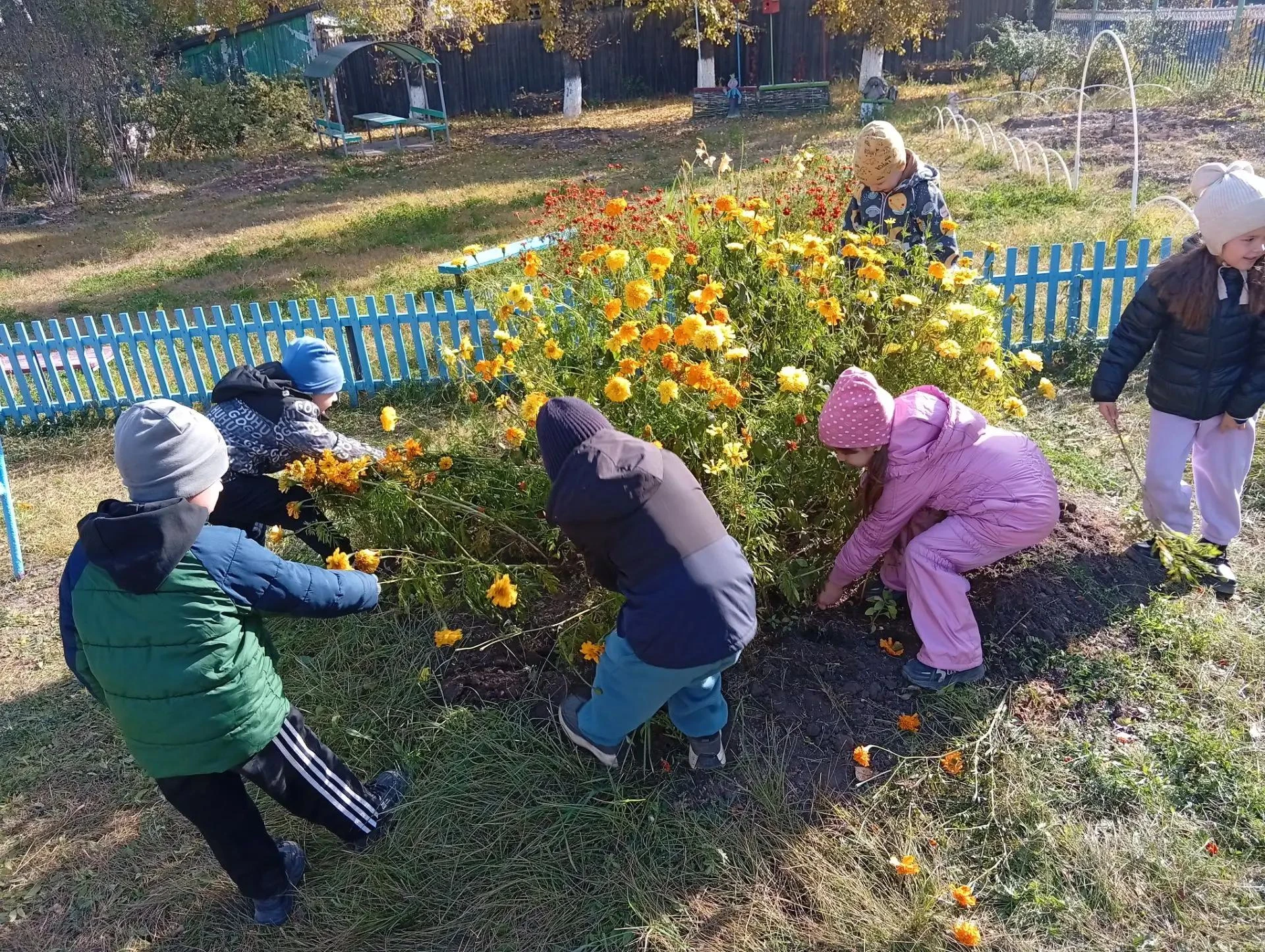 🍁 Осенняя пора — время красоты и труда! 🍁
