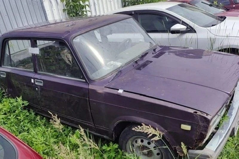 Братья из Щучье украли у знакомой 45,5 тысячи рублей