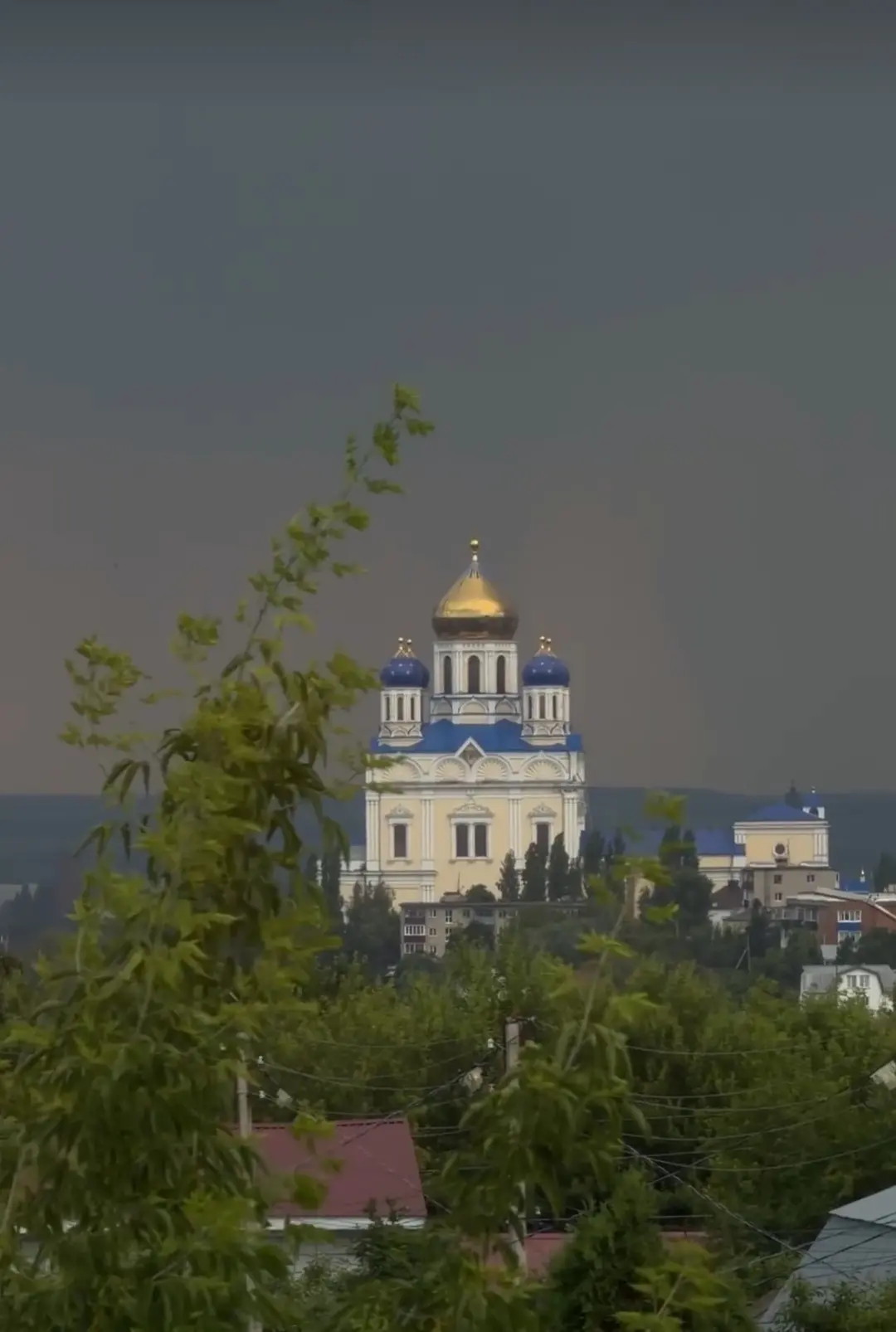 Елец перед дождём.