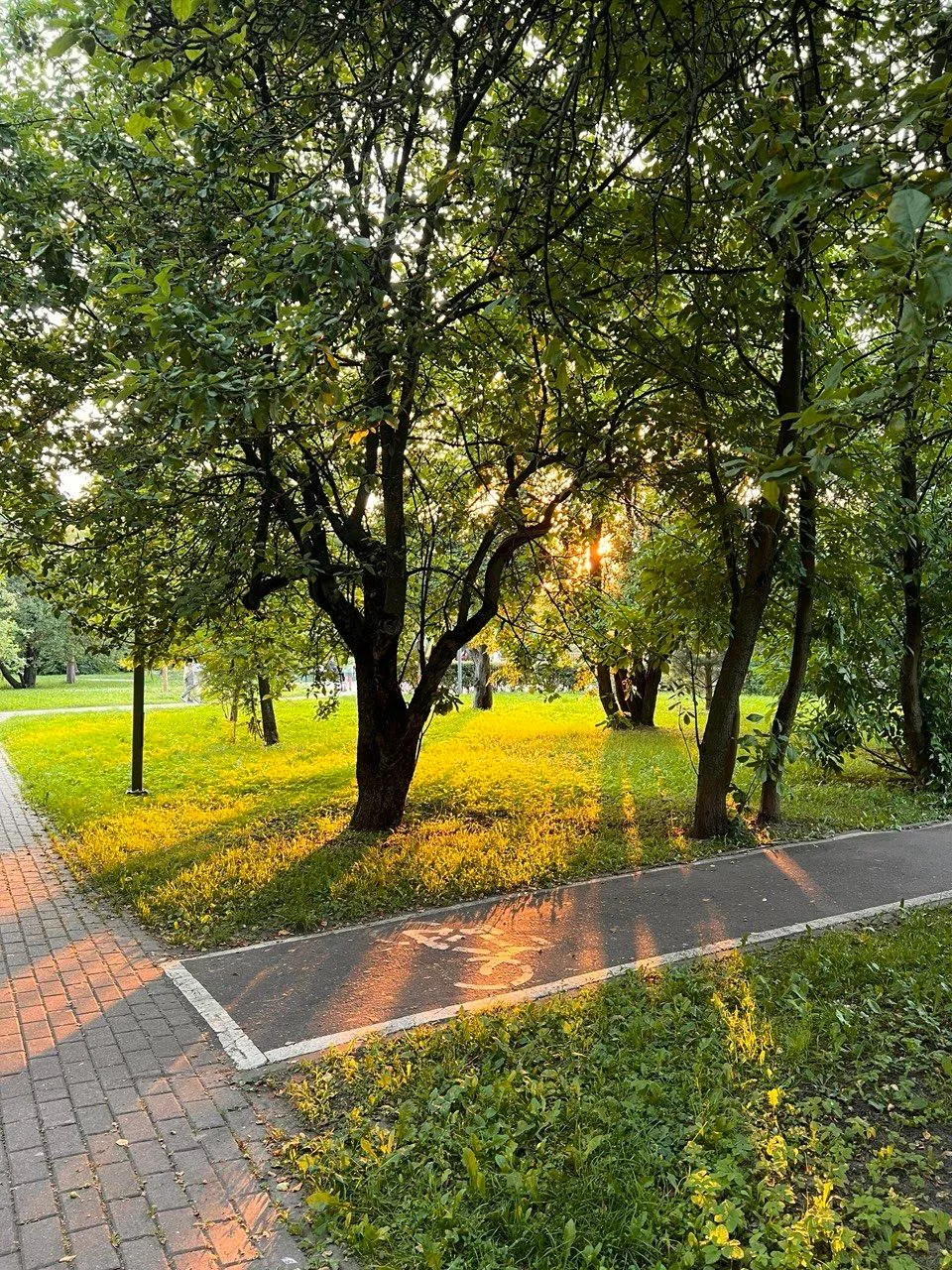 🌿 Лучи закатного солнца озаряют велодорожку парка Ангарские пруды!

Июнь, помедленнее)

#красоты_дм