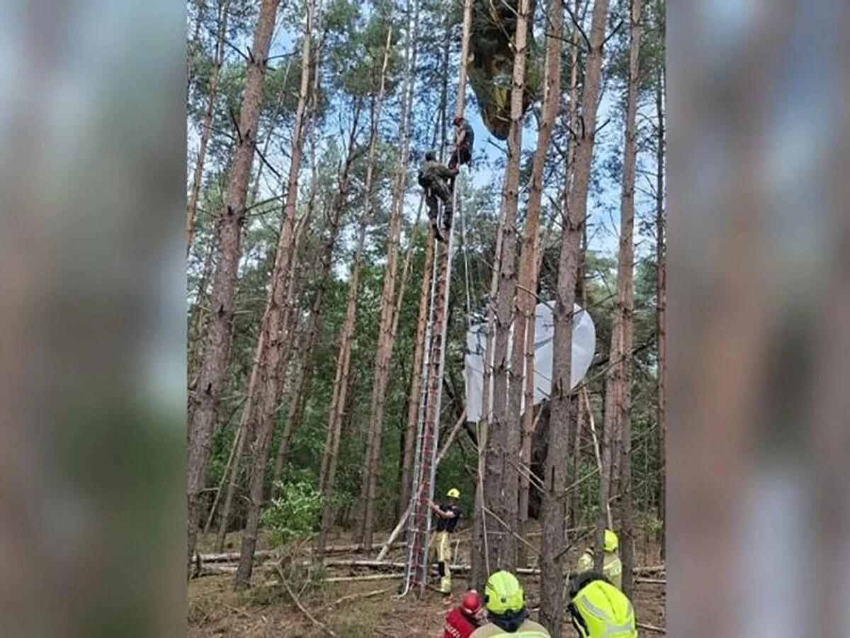 Десантников НАТО пришлось спасать во время учений в Бельгии