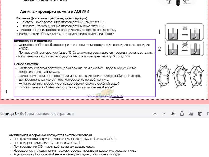 Ребята, с окончанием школы!🎉