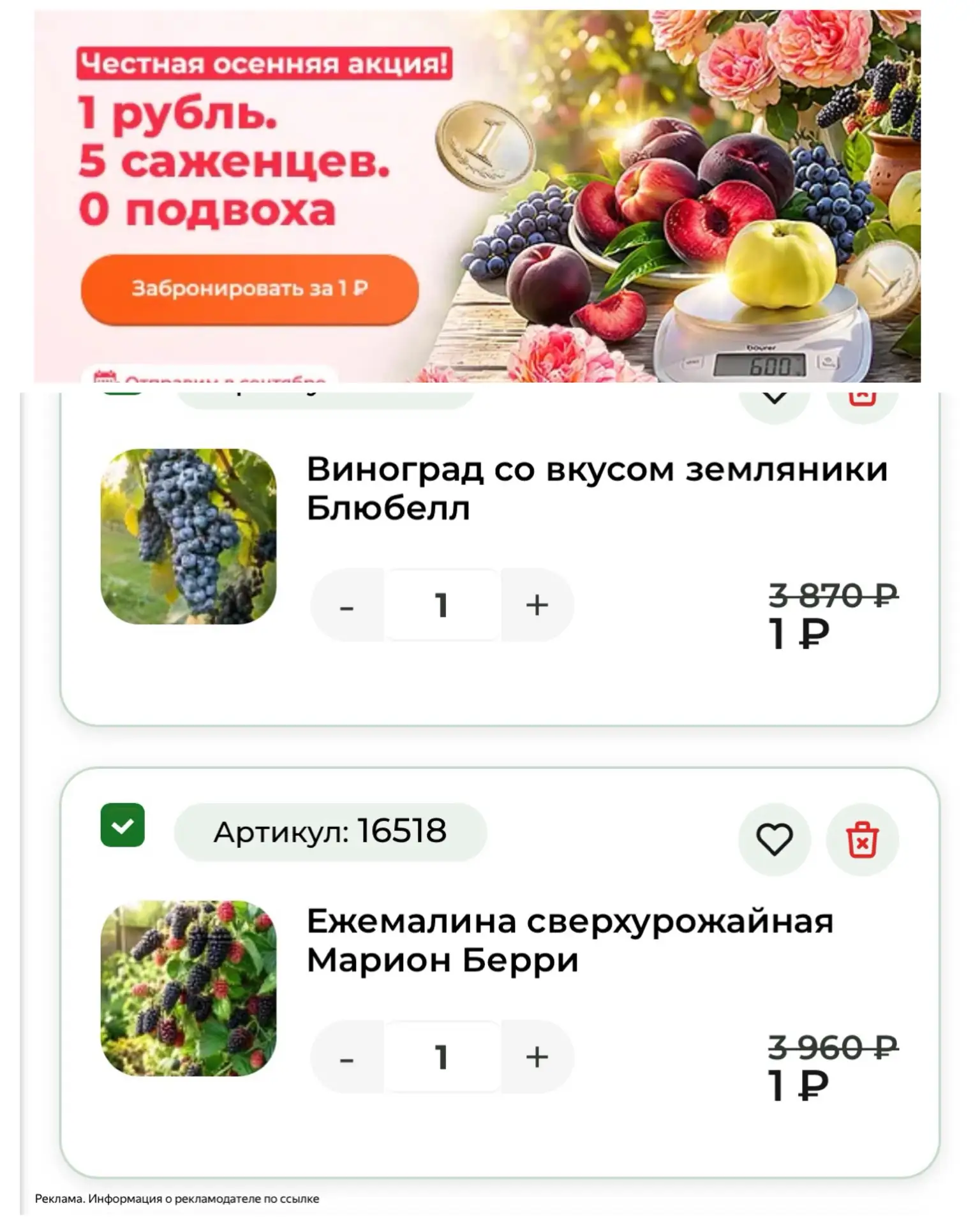 5₽ за пять саженцев😮