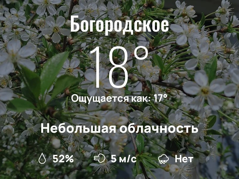 Что с погодой в Богородском?

Одевайтесь по погоде, берегите себя!
Шикарного дня, соседи!

#погодана
