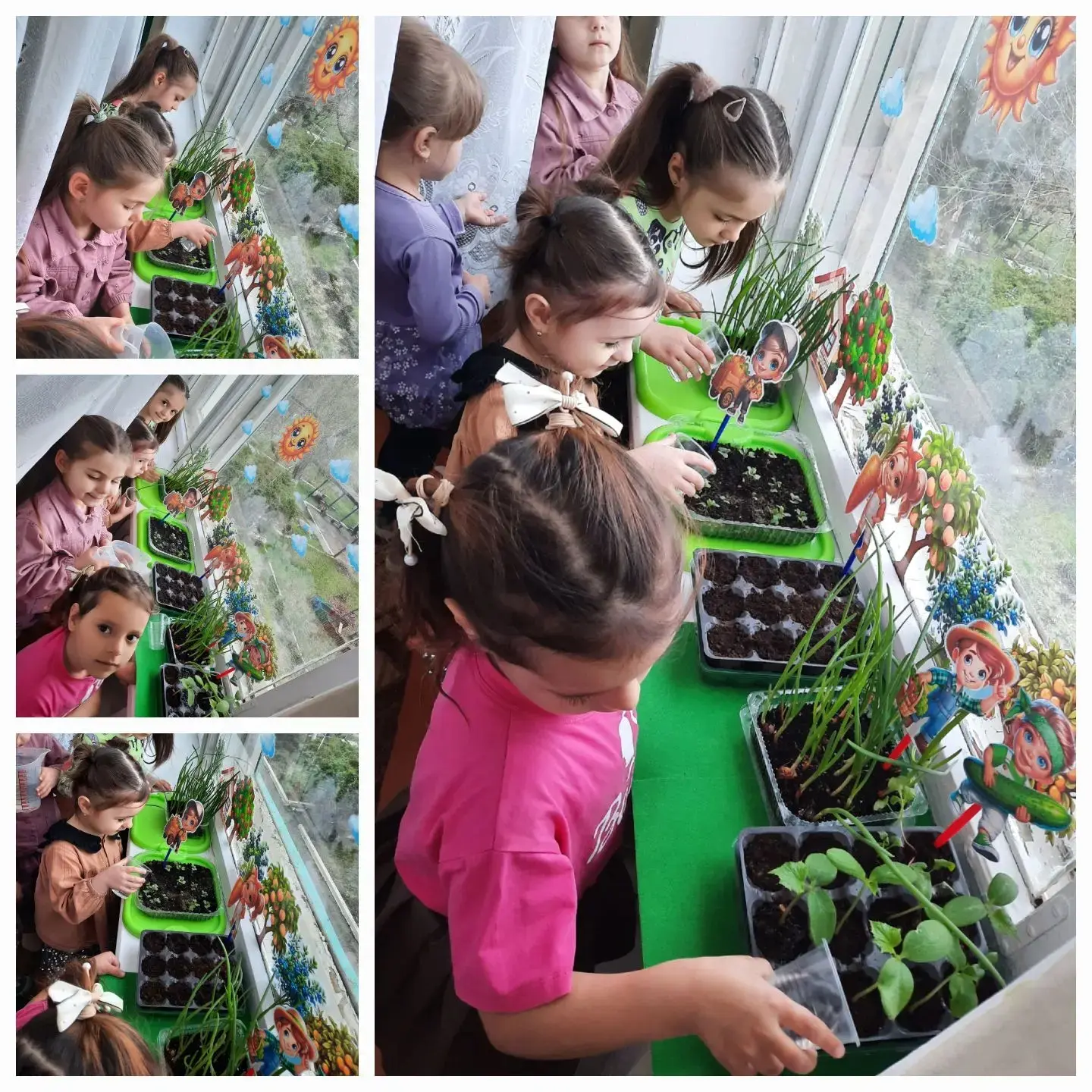 🌱Цветущий уголок: огород на подоконнике детского сада🥕
🌿Пространство каждого окна превратилось в 
