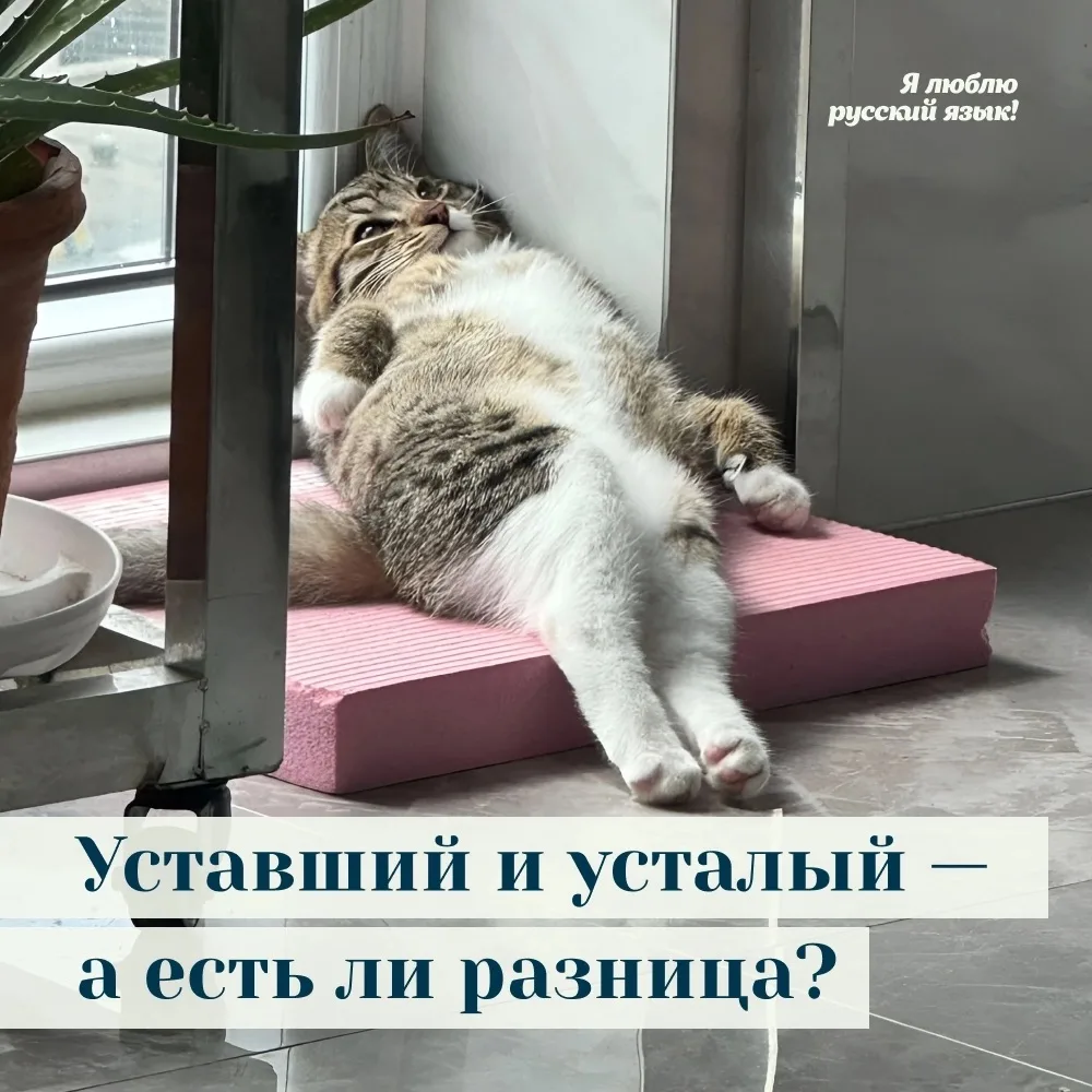 Я ЛЮБЛЮ РУССКИЙ ЯЗЫК

А какой сегодня ты?

Уставший — это тот, кто утомился от продолжительной или т