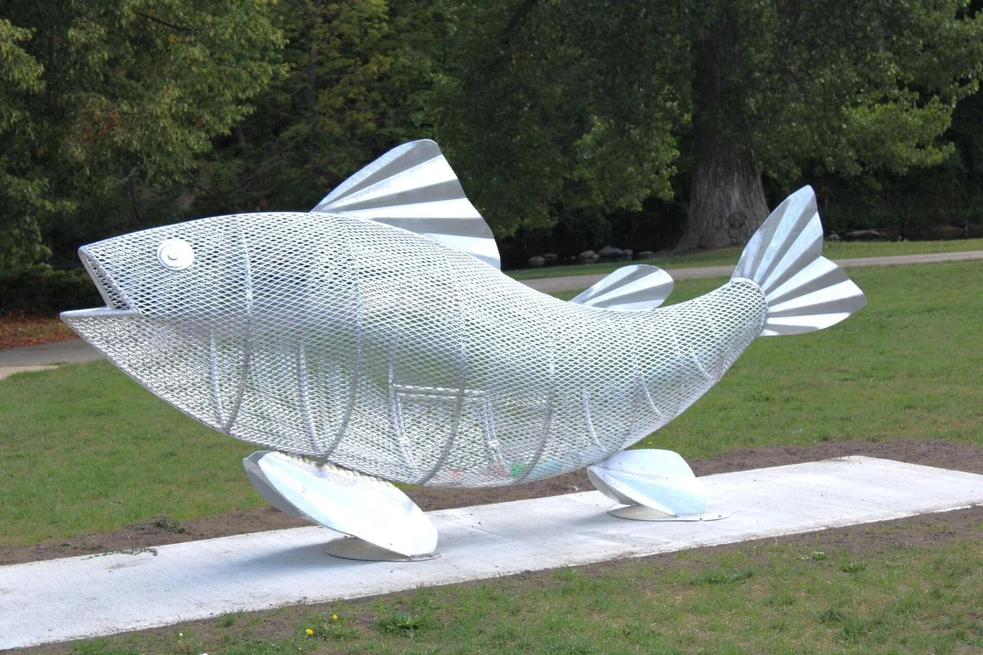 🐟 Рыба, которую нужно кормить… бутылками