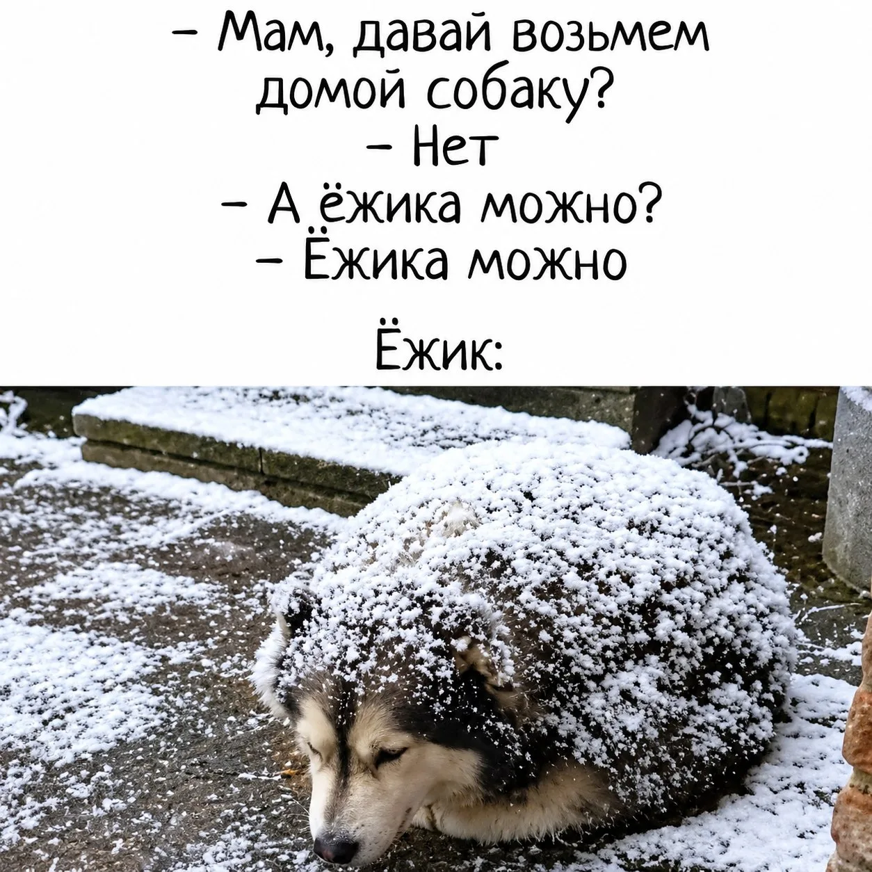 👑 Королева сарказма