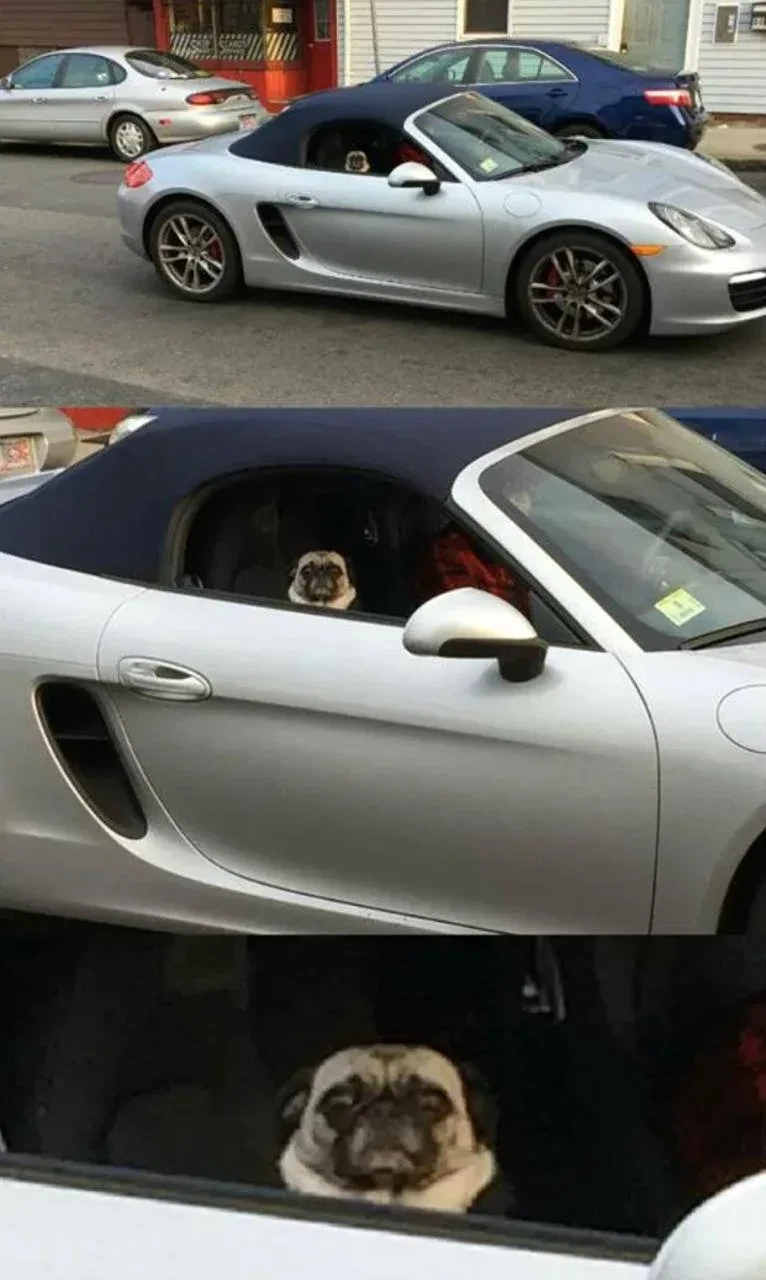 Купила Porsche за 9,8 млн, а через два года его забрал Интерпол
