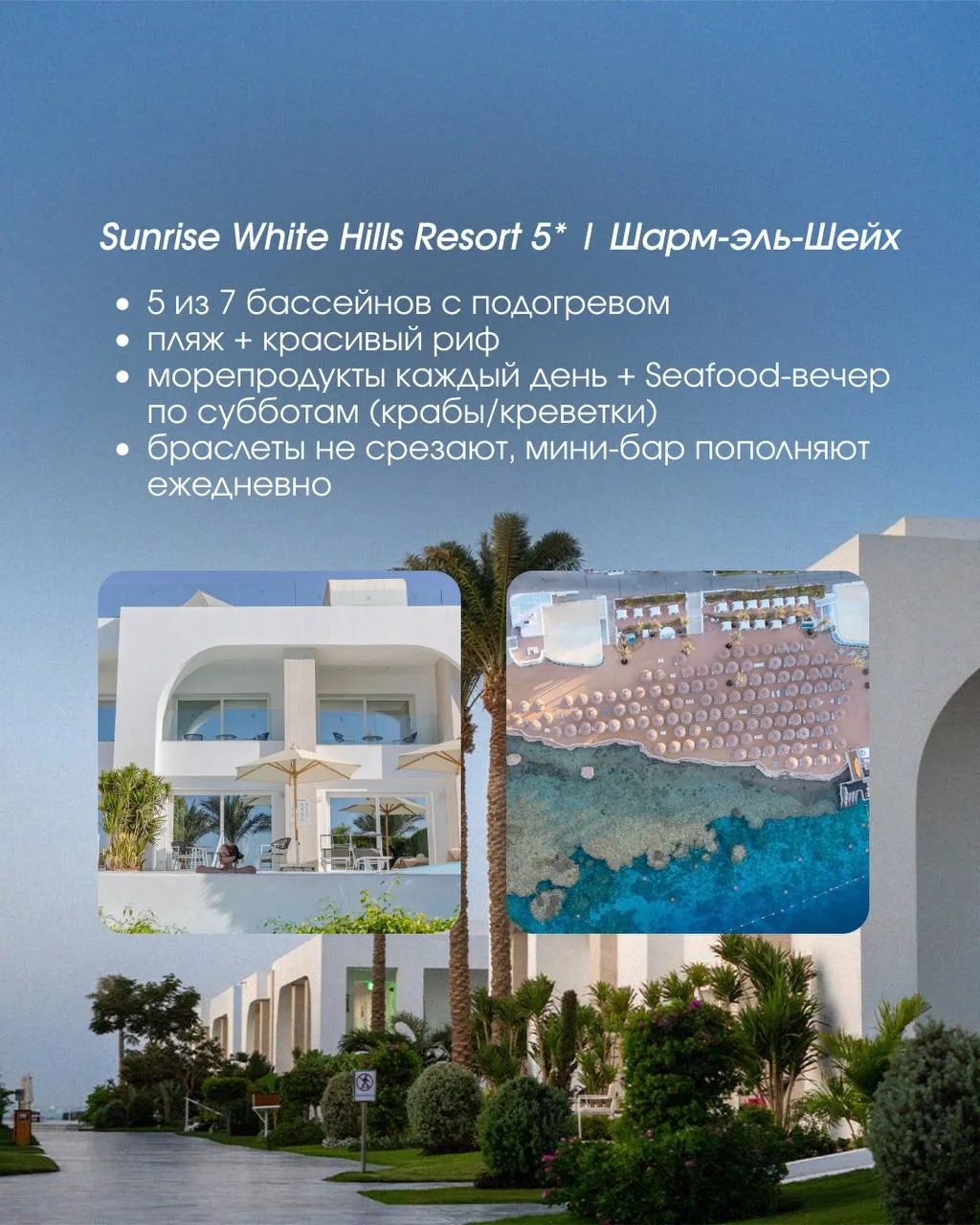 ЕГИПЕТ БЕЗ ОШИБОК 🌊  5 отелей, которые сейчас выбирают для стильного и комфортного отдыха ✨  Египет 