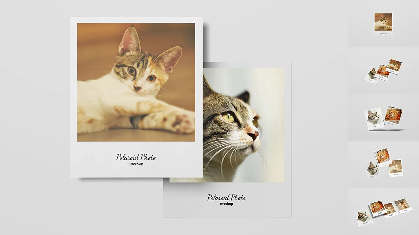 #free #mockup #polygraphy

► Один лучший выбранный макет
One Best Select Mockup 481 ( Free )

author