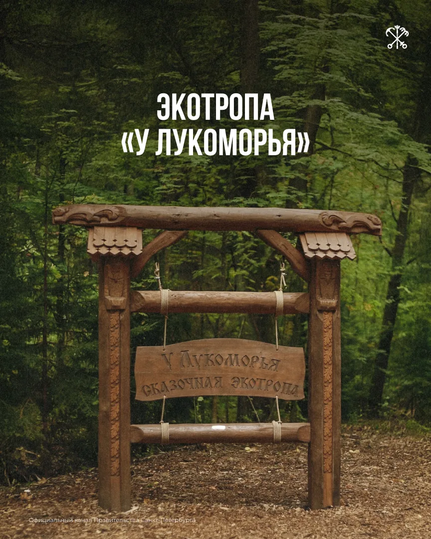 Экотропа «У Лукоморья» — место, где прогулка превращается в небольшое путешествие по ру...