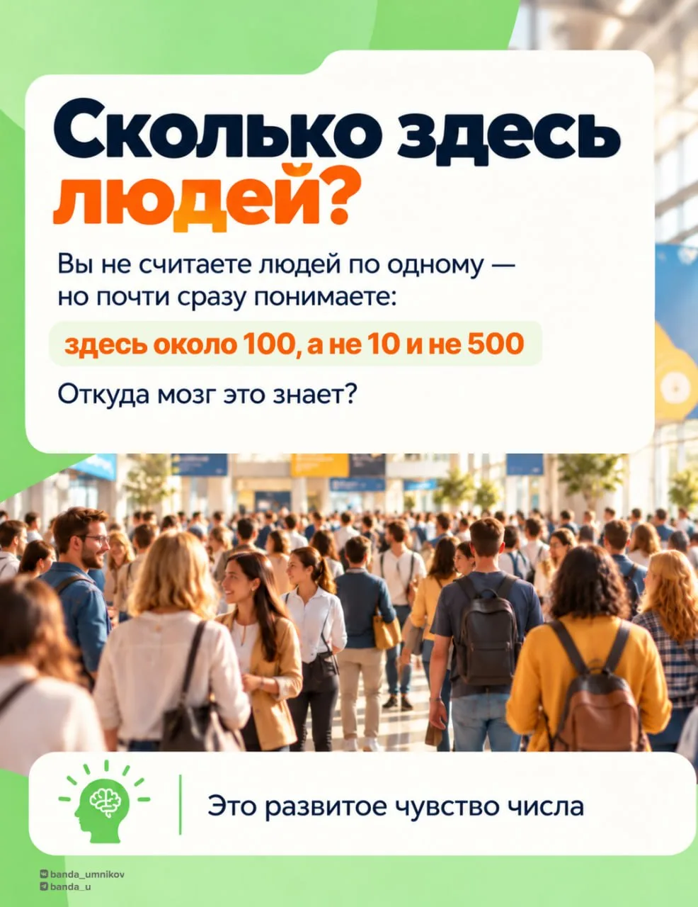 Уметь считать — ещё не значит понимать числа 😮