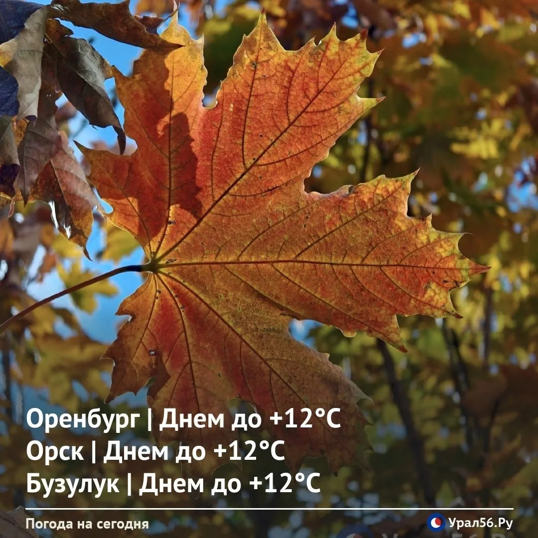 Доброе утро ☀️