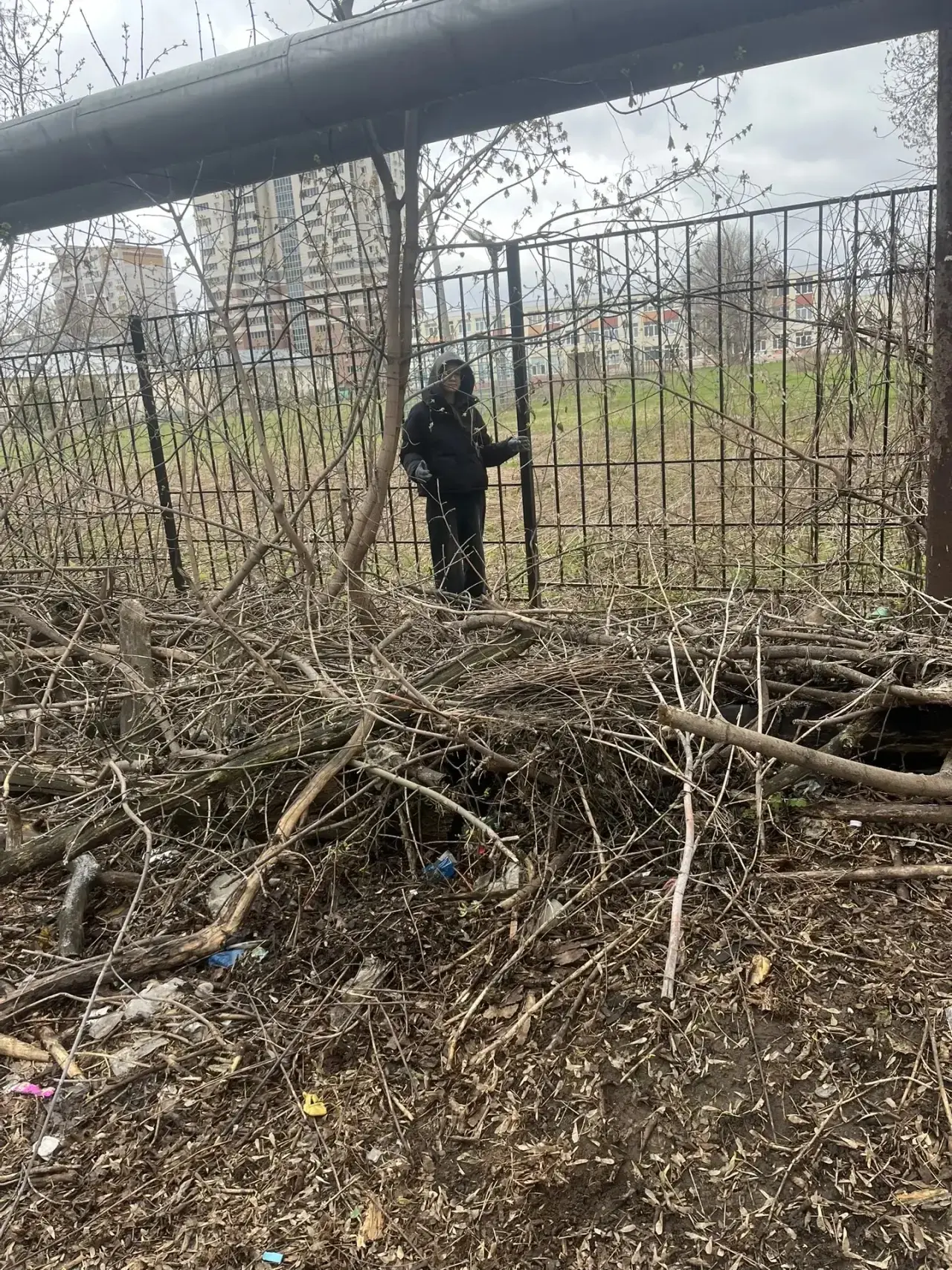 Школа №169 за чистоту и экологию: участвуем в конкурсе «Чисто в Советском»! Ежегодно 22 апреля весь 