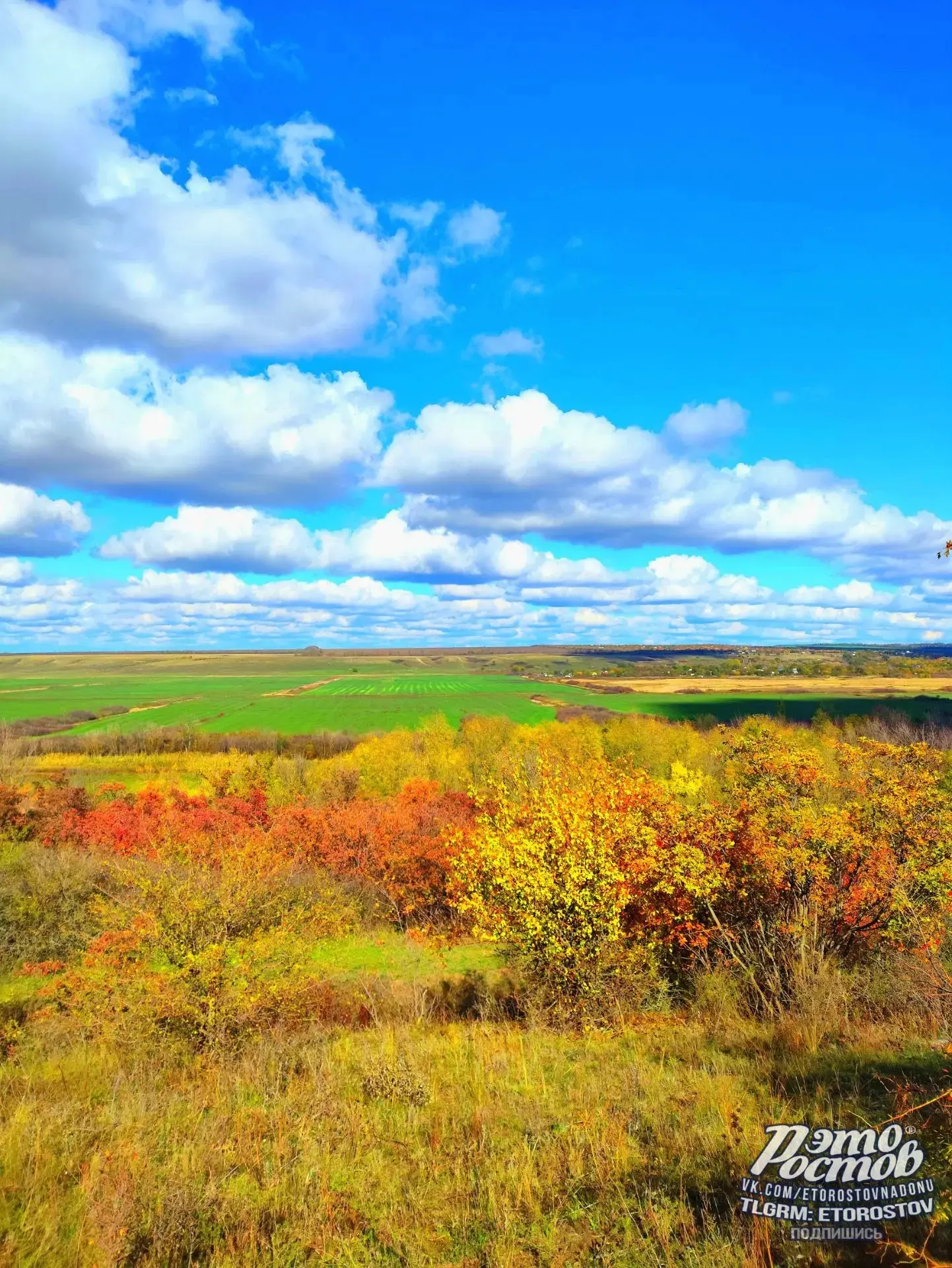 🍂🍁 Осень золотая приходит в Ростовскую область. Впереди ещё почти летнее тепло