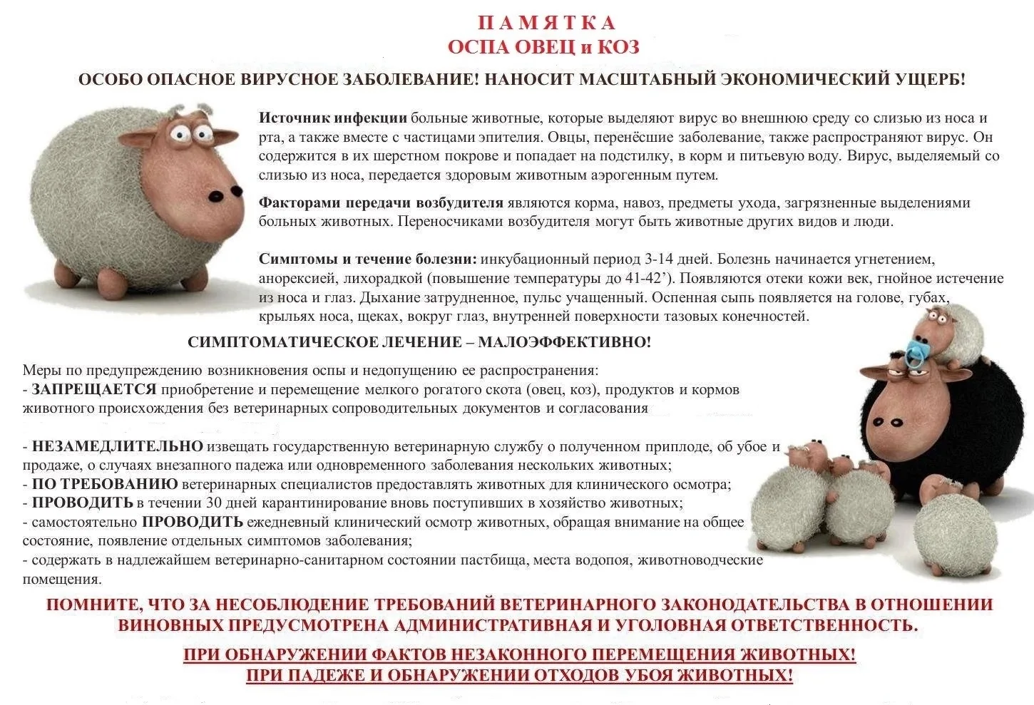 📌ПАМЯТКА ДЛЯ НАСЕЛЕНИЯ ПО ОСПЕ ОВЕЦ И КОЗ❗️