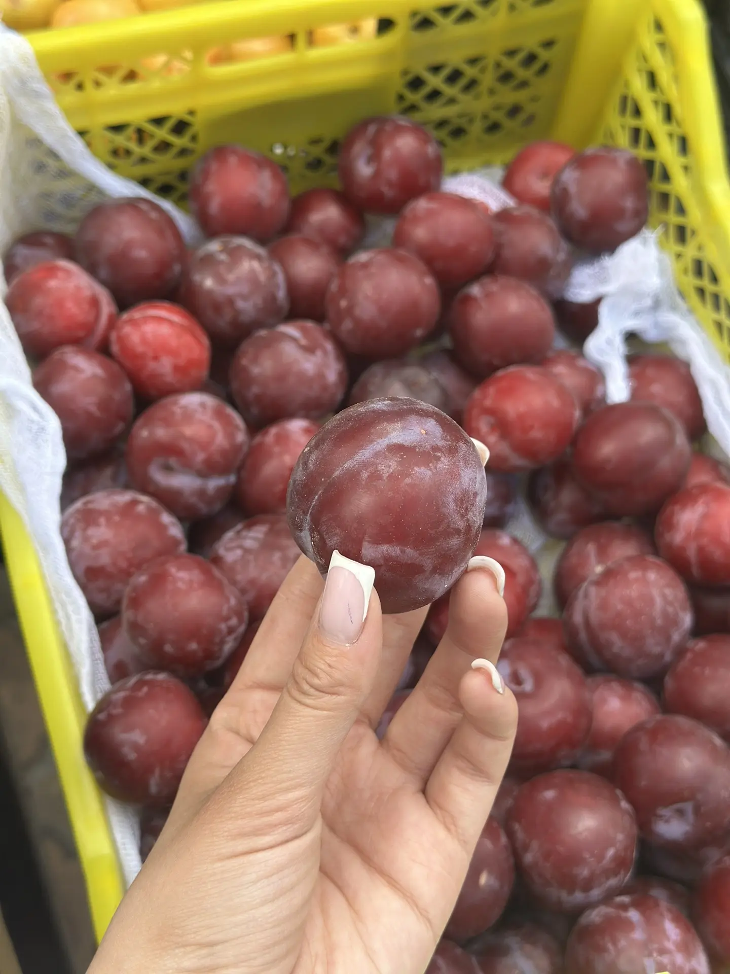 слива 🍊
сладкий сорт

169₽ за кг