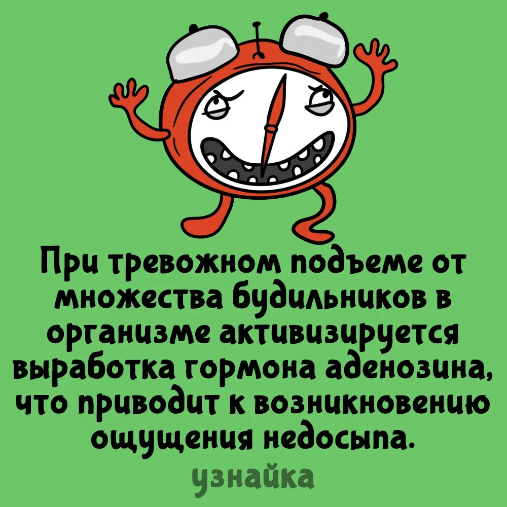 Почему по будильнику просыпаться вредно⏰