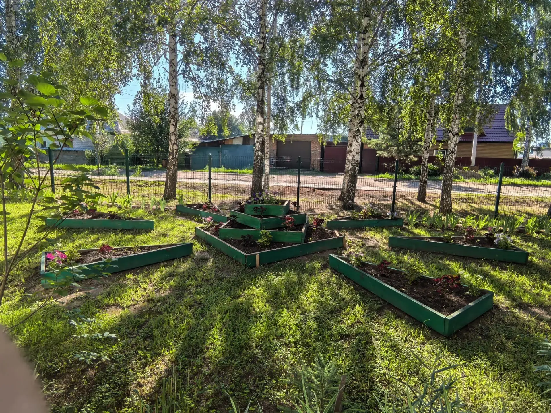 В условиях аномальной жары сохранение зелёных насаждений на пришкольном участке становится не просто