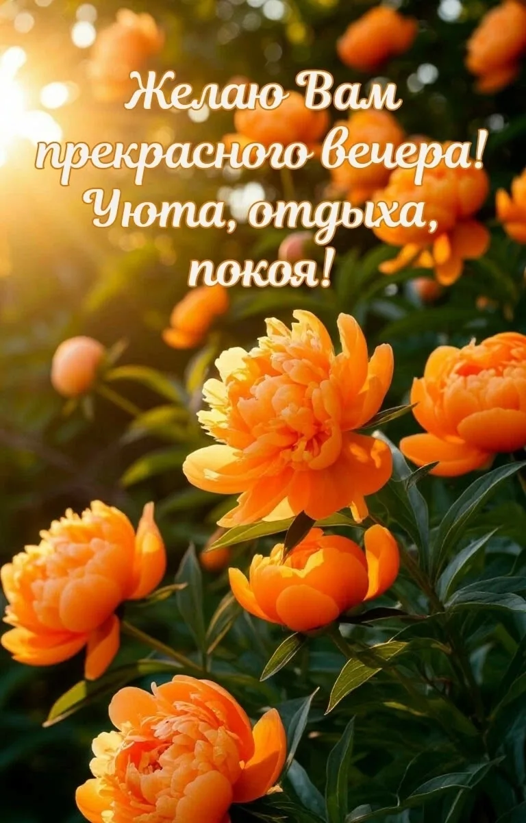 ОТКРЫТКИ