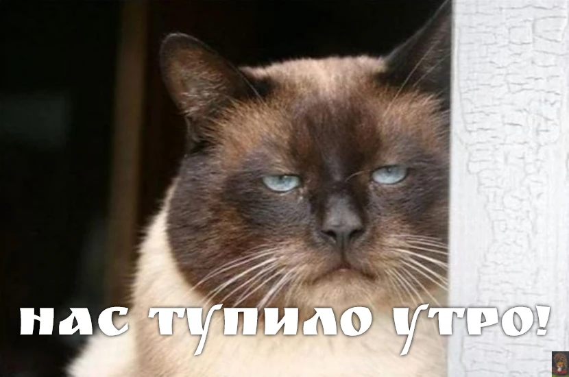 За Ежей в тумане    https://max.ru/public217562846