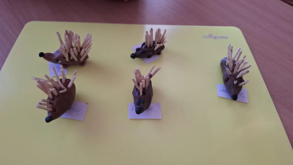 🦔🦔🦔🦔🦔🦔🦔🦔🦔🦔🦔